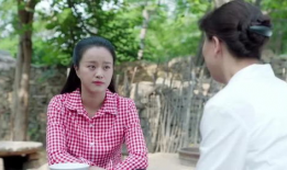 兰桐花开电视剧,岁月流转中的青春记忆