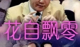 花电视剧,绽放的青春，梦想的翅膀