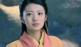 西施电视剧,倾国倾城，传奇佳人的一生